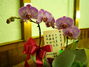 P1020552.JPG